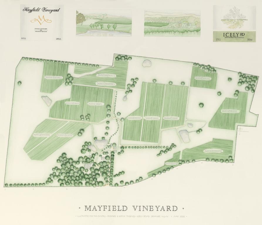 Mayfield Vineyard Orange Kültér fotó
