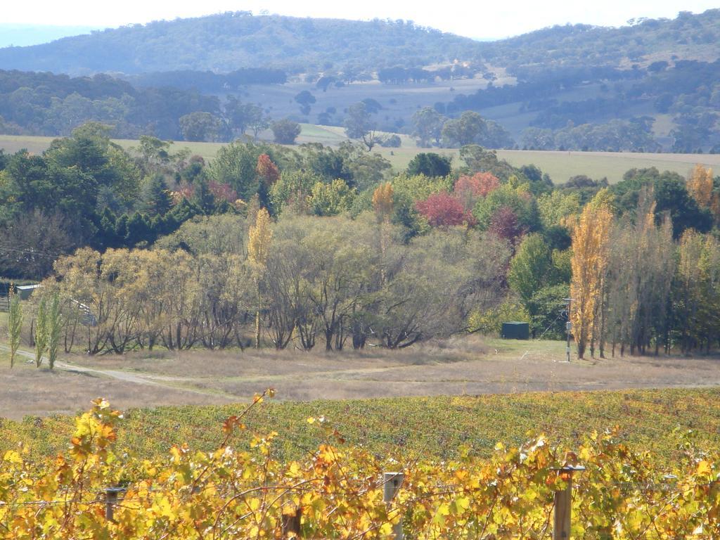 Mayfield Vineyard Orange Kültér fotó