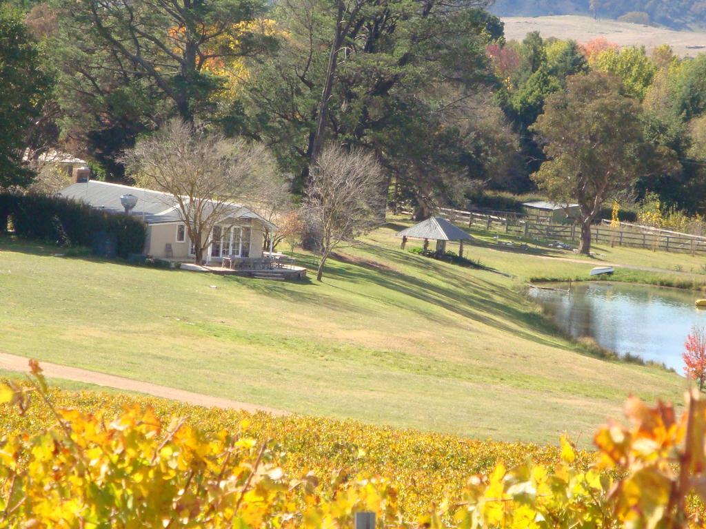 Mayfield Vineyard Orange Kültér fotó